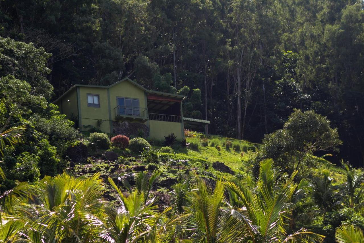 The Green Shack Quatre Soeurs Exteriér fotografie